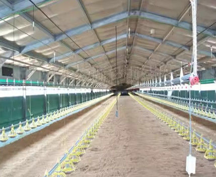 Prefab Metal Structure Chicken Poultry Farm Prefab House Fireproof Customer Design
