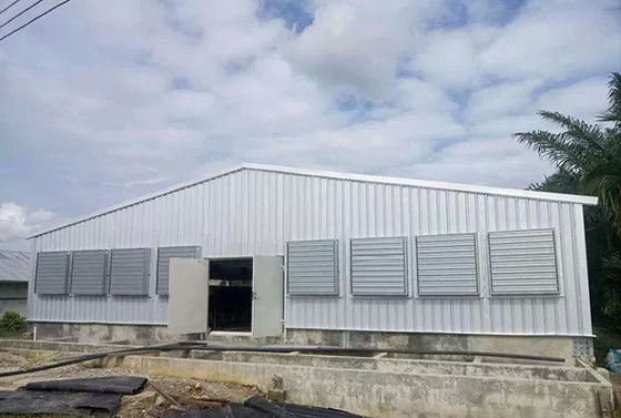 Fire Resistance Q235B Steel Structure Poultry House Painted Steel Frame Chicken Coop