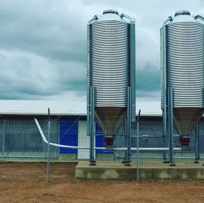 50MM Light Steel Poultry House Farm Sheds Poultry Pre Built Chicken Coops Custom Color