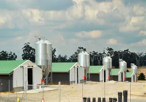 Sheep Pen Poultry Metal Shed Buildings Agricultural Prefab Metal ShedFire Resistant