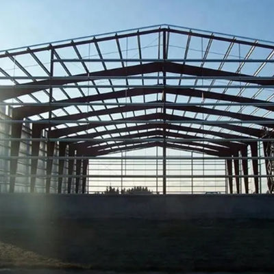 Steel Structure Warehouse with 50 Years Usage Life Customizable Load Capacity and Slope or Flat Roof Design