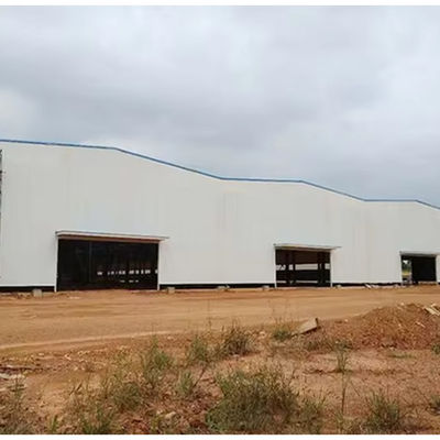 Eco-Friendly Steel Structure Building with 50 Years Service Life Roller Shut Door and EPS Insulation